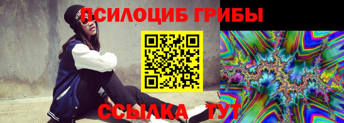 Каменск-Шахтинский  Галлюциногенные грибы прущие грибы  Вход с VPN 